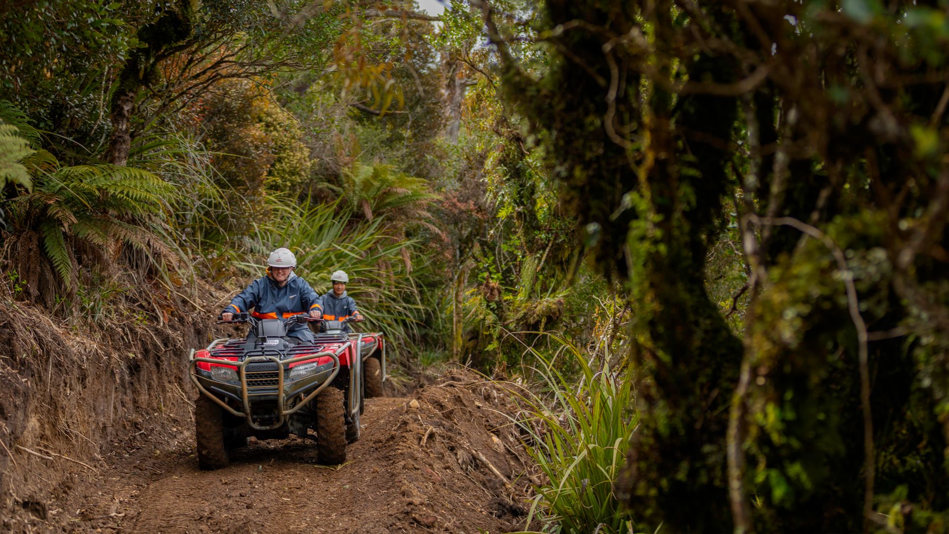 Friends riding 4WD buggies in forest with Ruapehu Adventure Rides - Visit Ruapehu.jpg